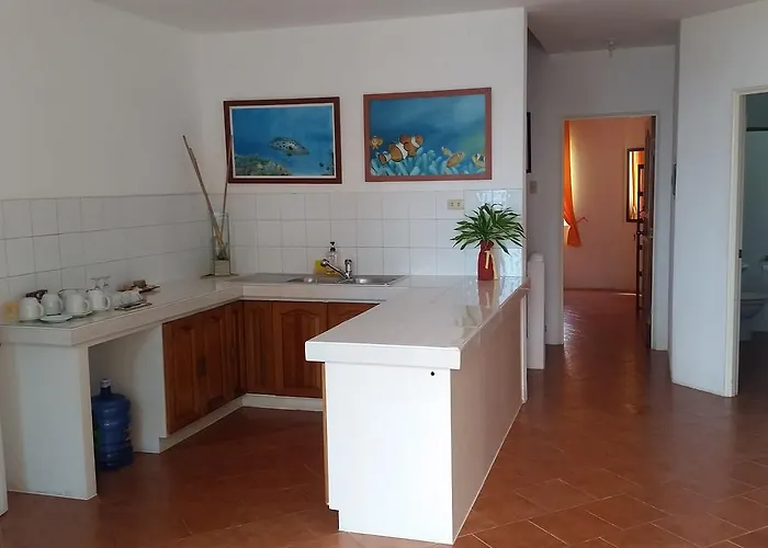 Divepoint 3* Alcoy